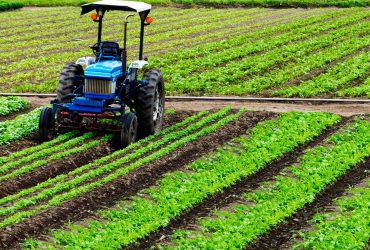 Agriculture & Agro-Allied Services