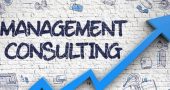 Business Consulting & Management