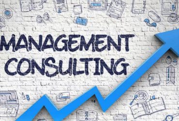 Business Consulting & Management