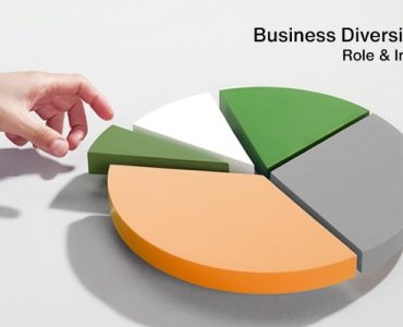 How Diversified Businesses Create More Stability and Growth